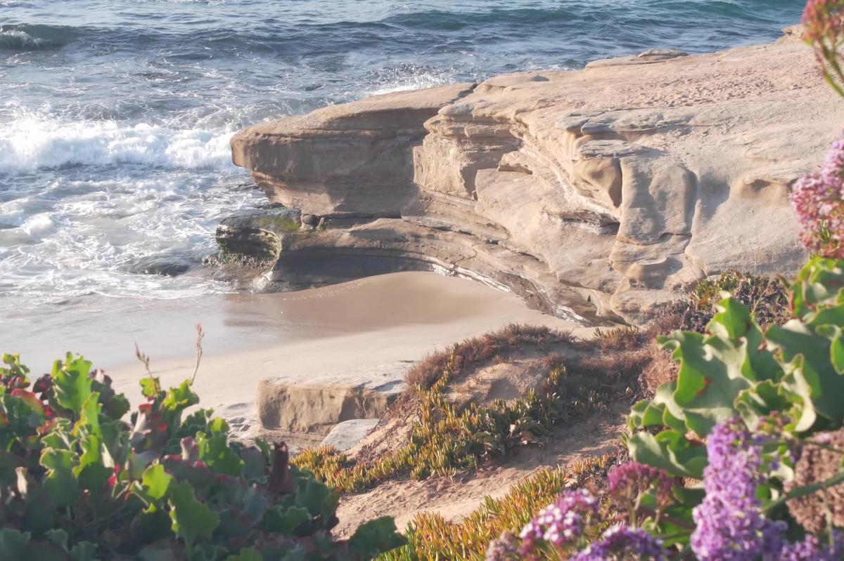 La Jolla Cove