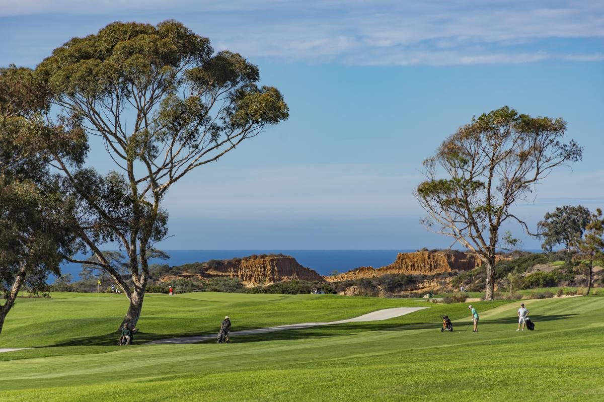 PGA Tour's Genesis Invitational 2025 Now at Torrey Pines in San Diego