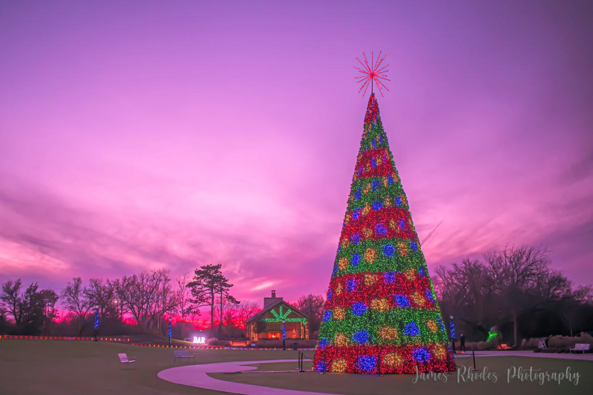 Illuminations at botanica