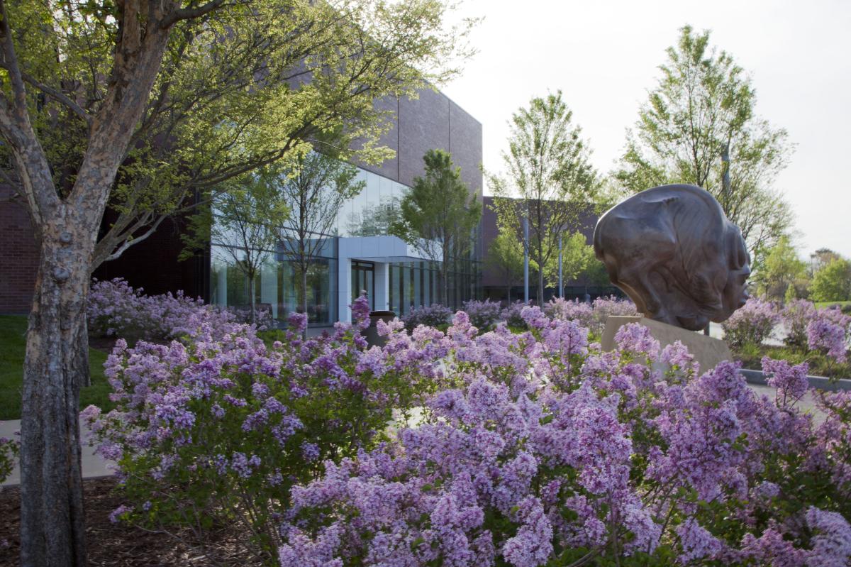 Purple flowers are in bloom outside of the Wichita Art Museum