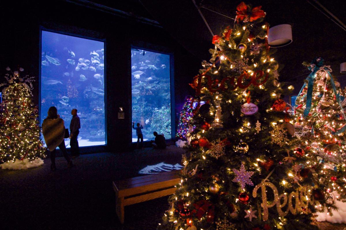 Winter in Kure Beach Activities Events at Fort Fisher