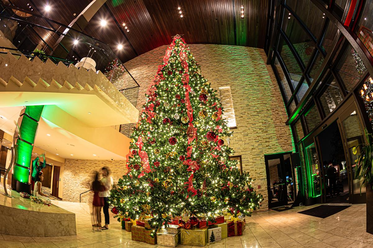 Christmas Tree at The Woodlands Resort