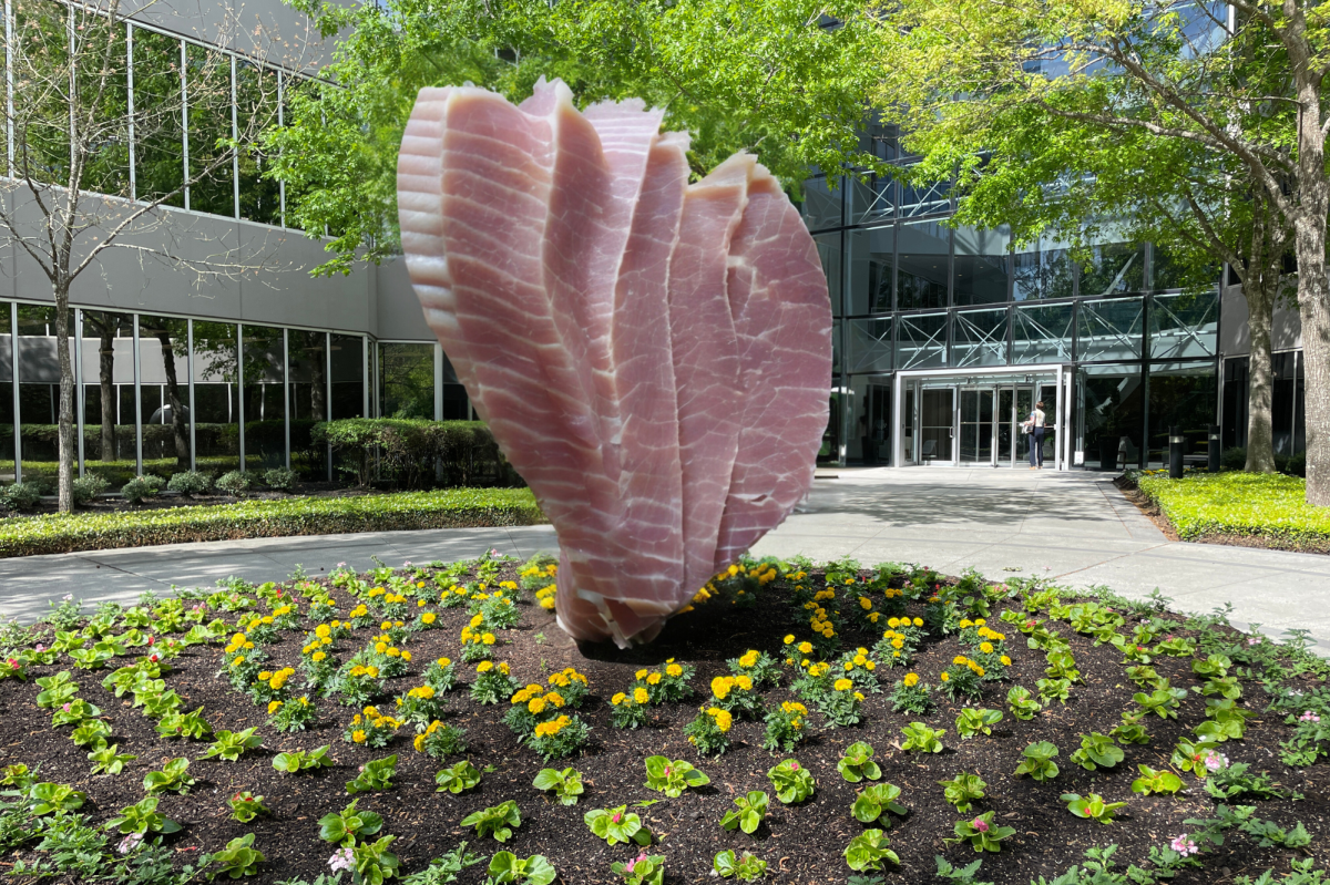 Ham