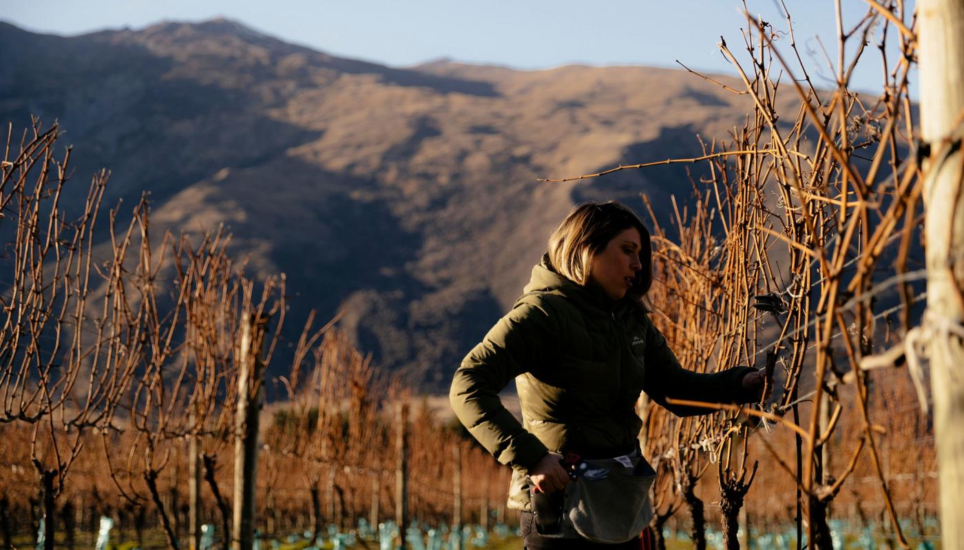 Anika Willner - Pruning in Gibbston