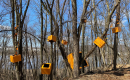 Art In The Wild 2025 Outdoor Exhibition
