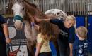 FREE Family Fun Day at the Pennsylvania National Horse Show