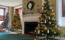 Festival of Trees