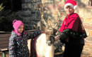 Santa’s Reindeer and Mrs. Santa