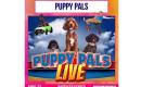 Puppy Pals Live
