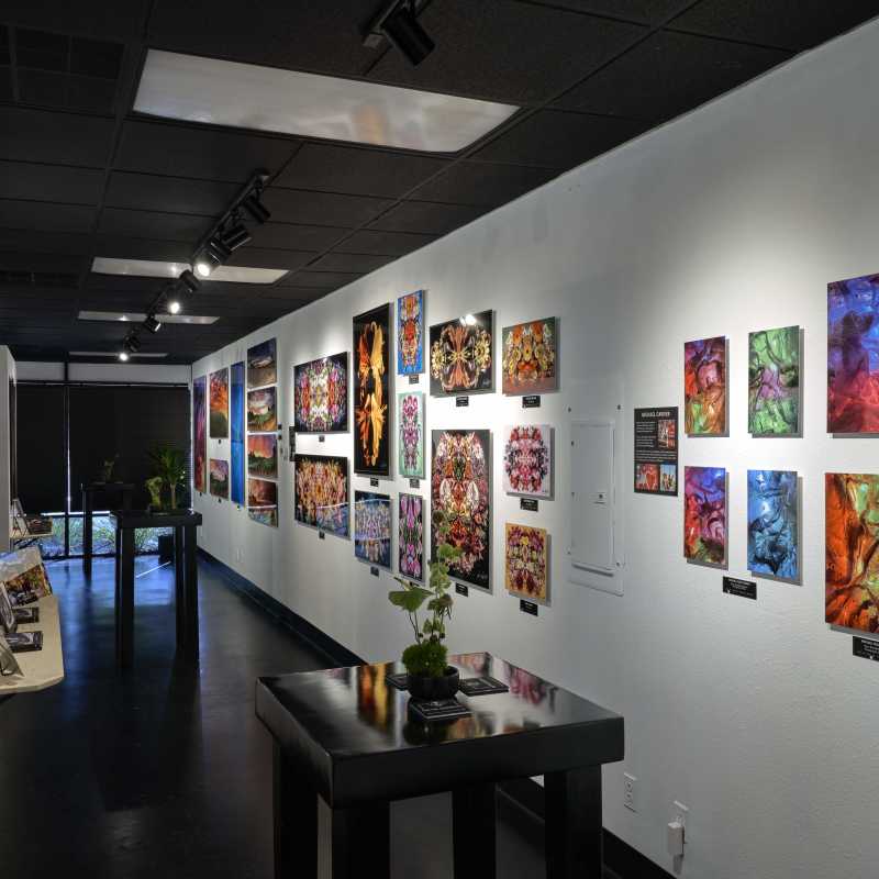Metalography Art Gallery