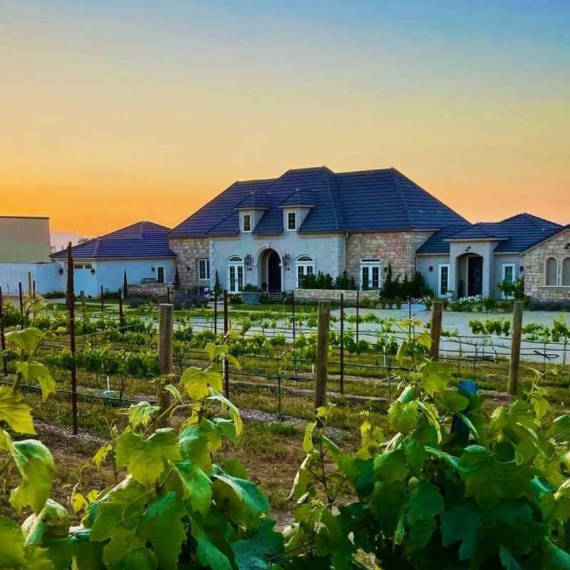 Domaine Chardonnay