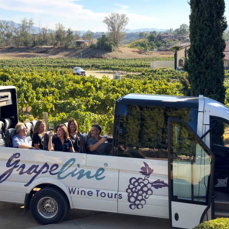 grapeline wine tours temecula ca