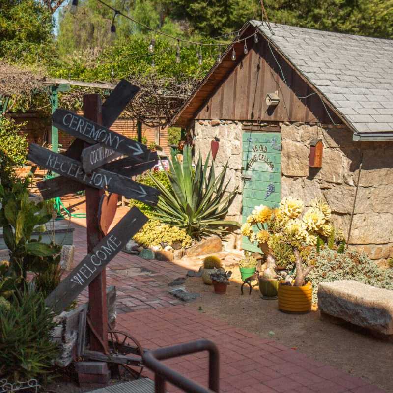 Big Nose Winery