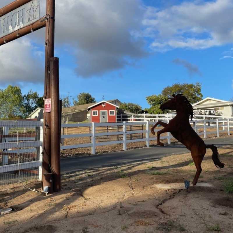 Chick-Ranch