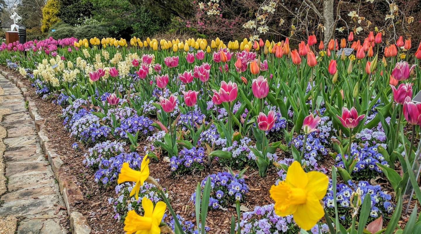Visit Richmond VA | Hotels, Things to Do, & Events