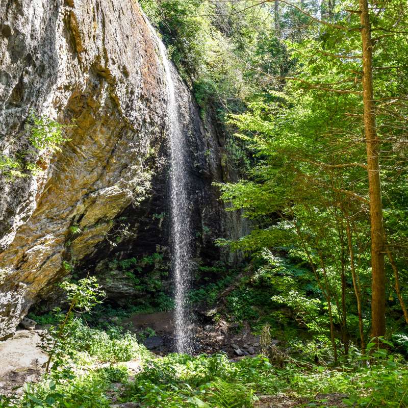 6 Off-the-Beaten-Path Hikes near Asheville, NC