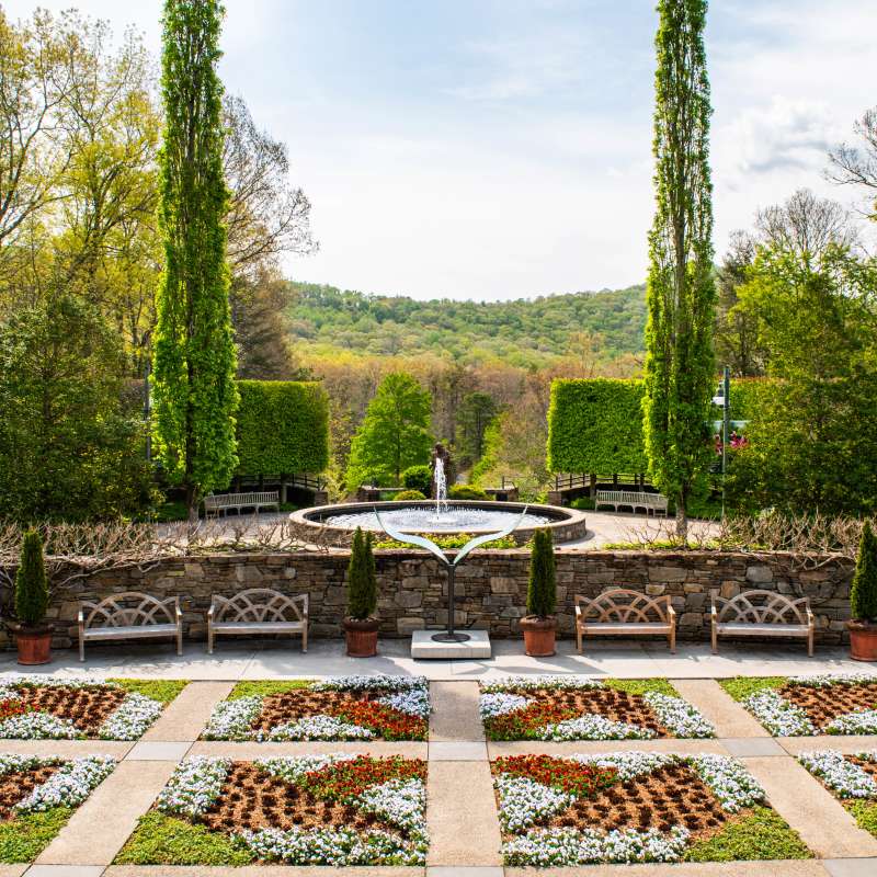 Best Gardens to Visit in Asheville