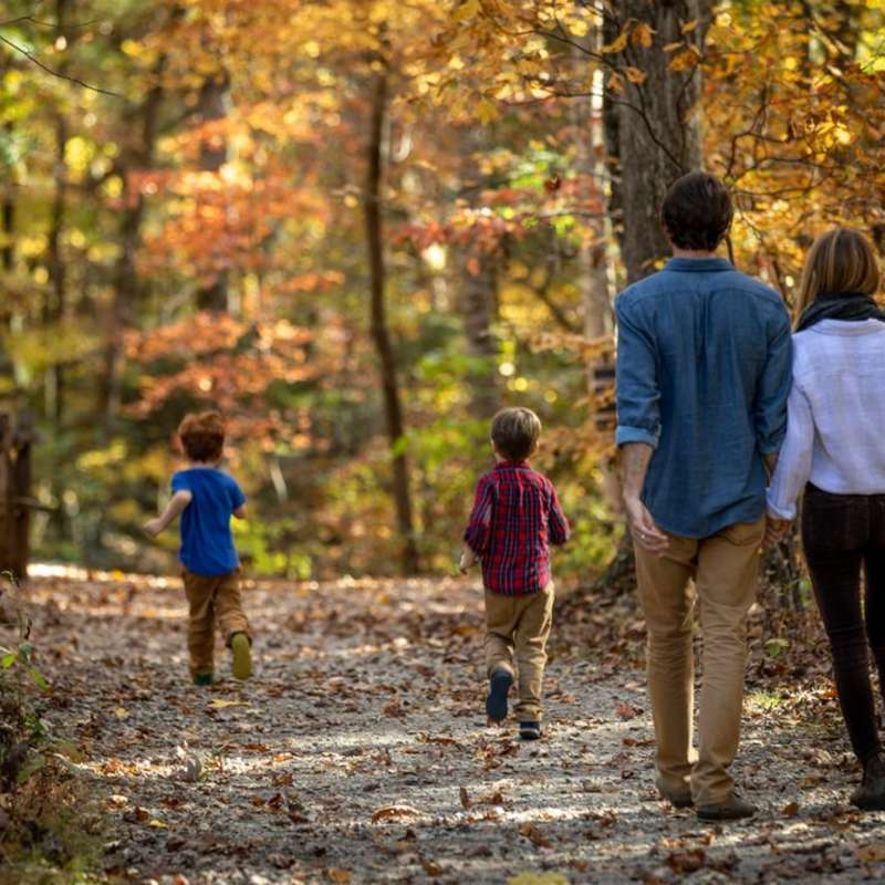 Top Family-Friendly Fall Activities in Asheville