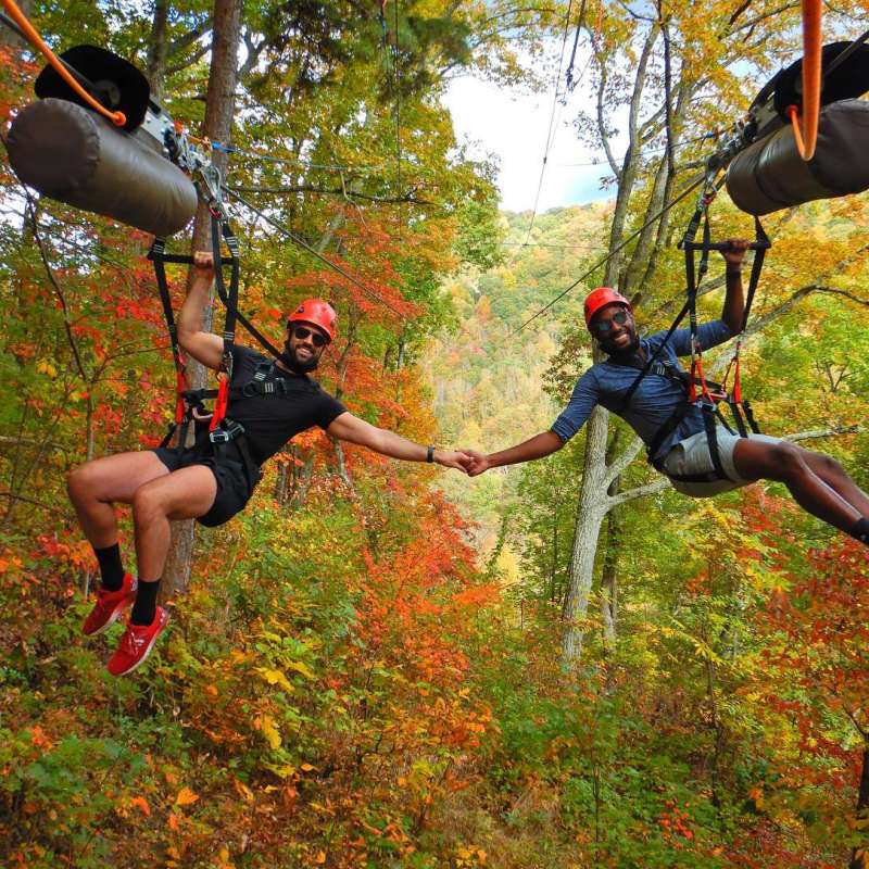 Fall Activities in Asheville Color Reports & Scenic Drives