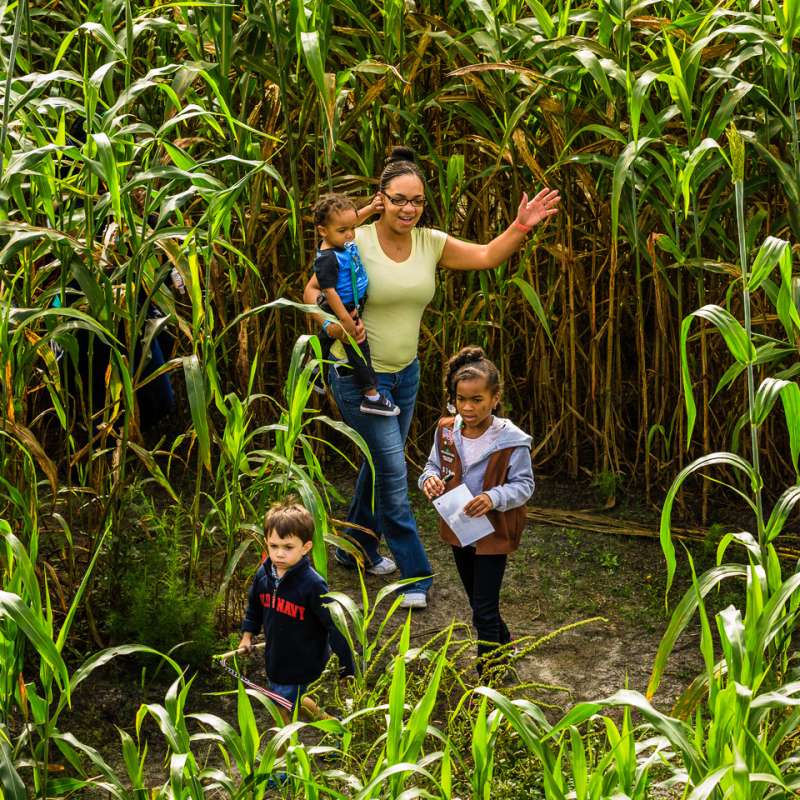 Five Reasons to Visit Fayetteville this Fall