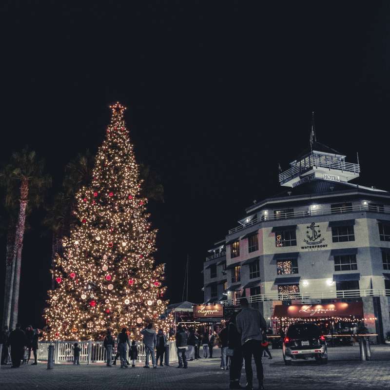 Jack London Square Holiday Christmas Tree