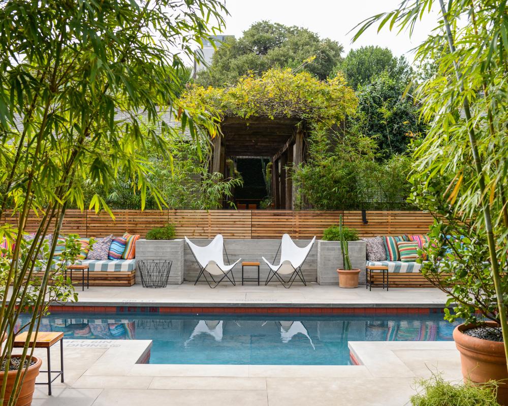 View of calm Hotel San Jose pool amid lush greenery.