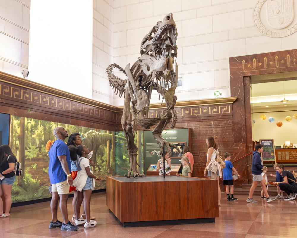 Men, women and kids standing underneath a large dinosaur skeleton at the Texas Science & Natural History Museum.