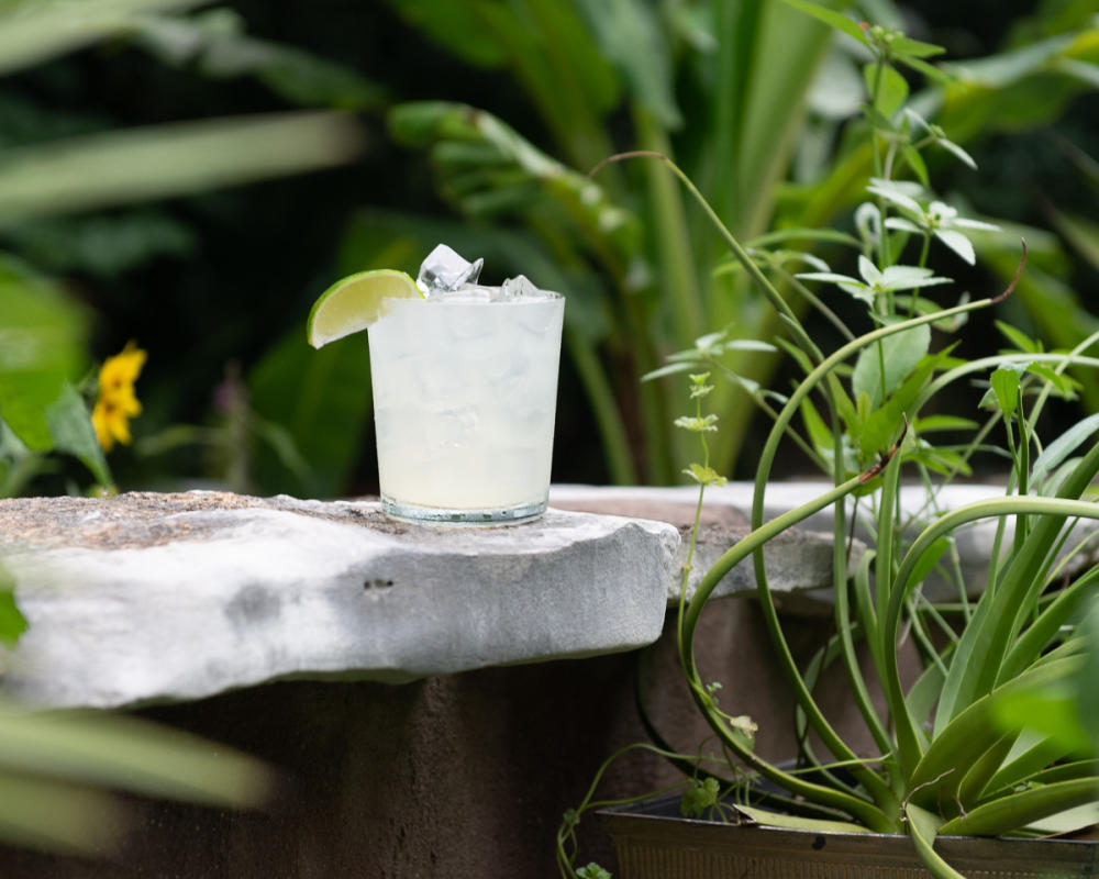 Margarita in a clear glass with large ice cubes and a lime wedge, sitting on a rock ledge amongst greenery.