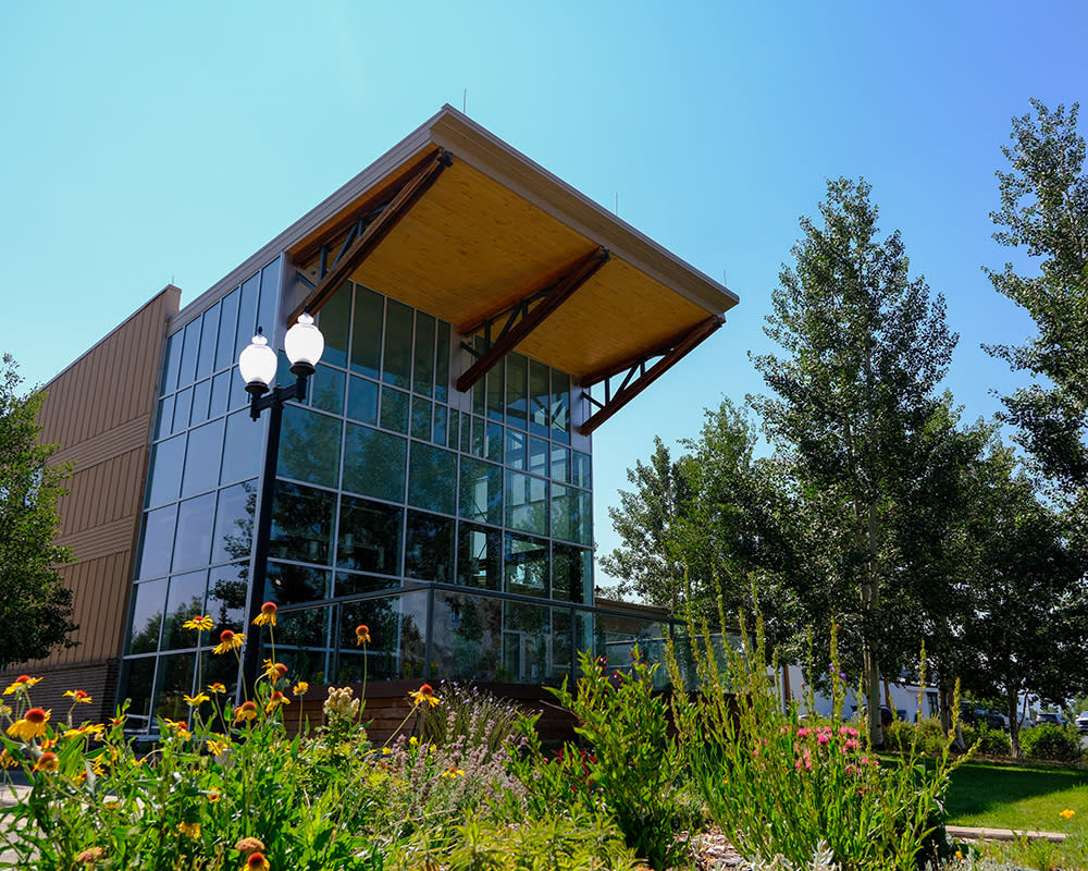 Granby Library Garden