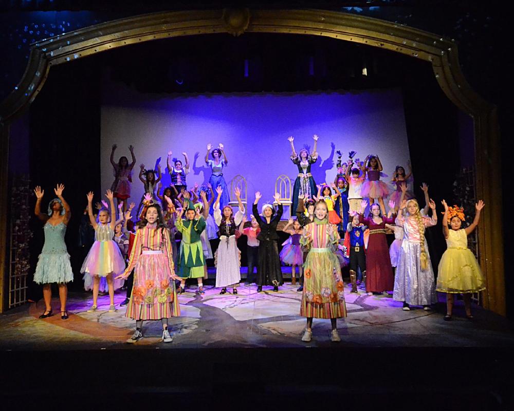 Palm Canyon Theatre
