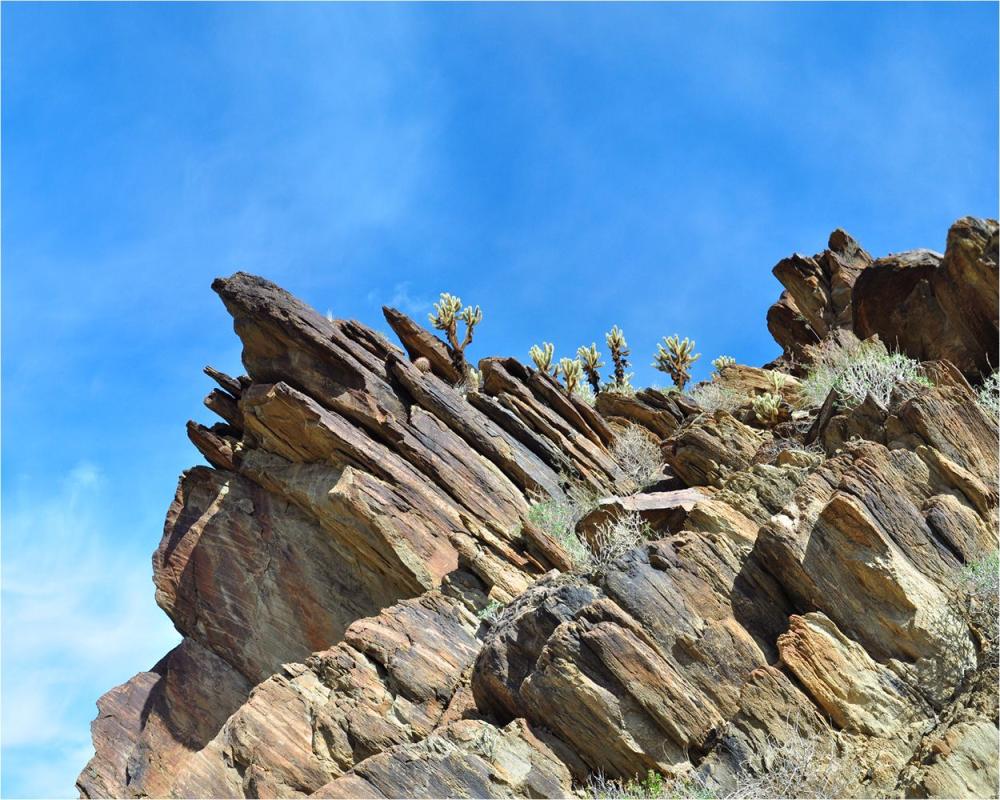 Andreas Canyon Rock Formation
