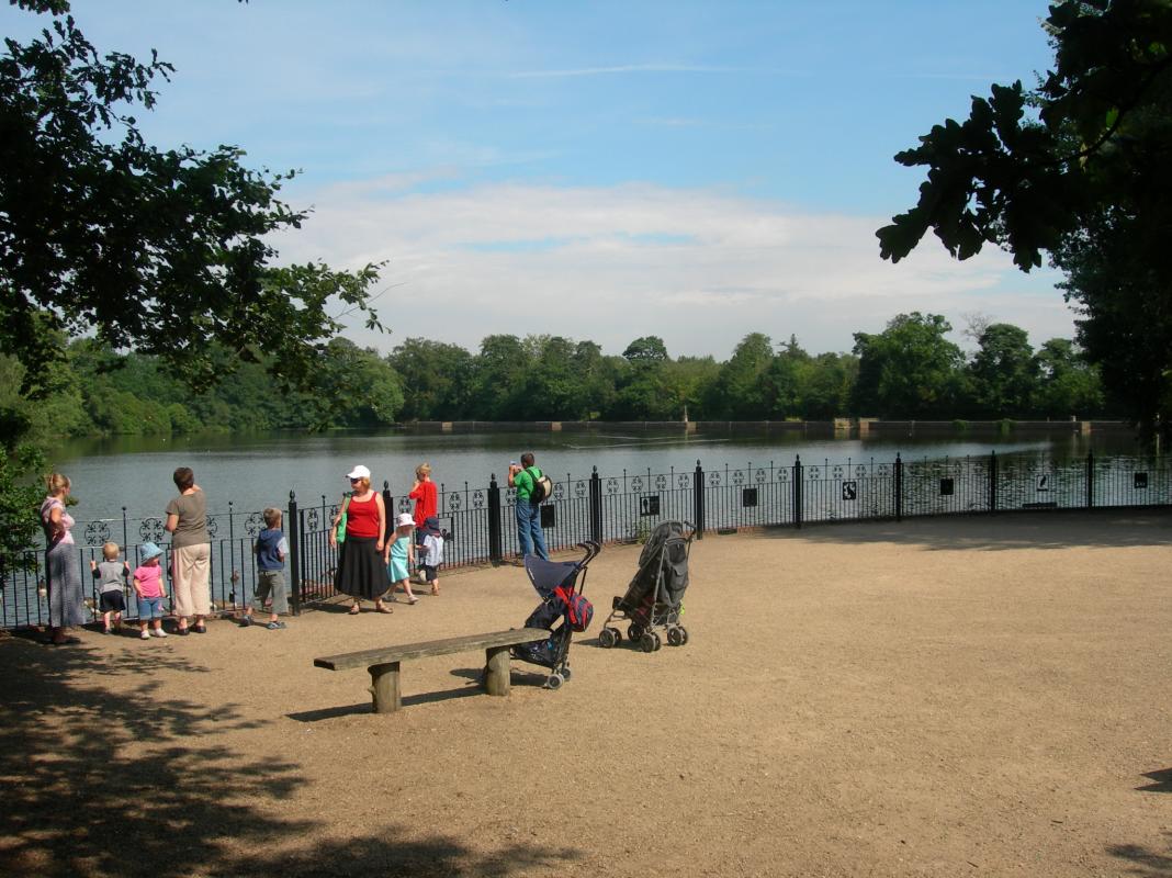 families looking at the lake in Hartsholme Country Park