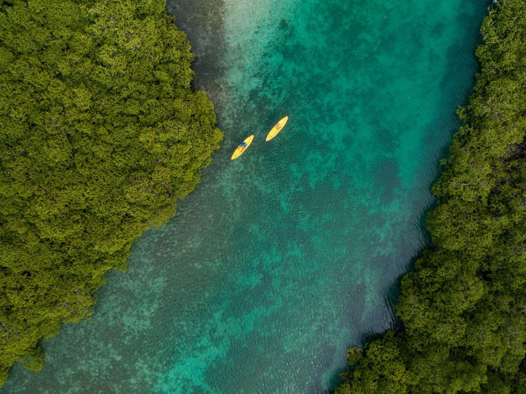 Kayaks in Venas Azules among mangroves and turquoise waters in Panama