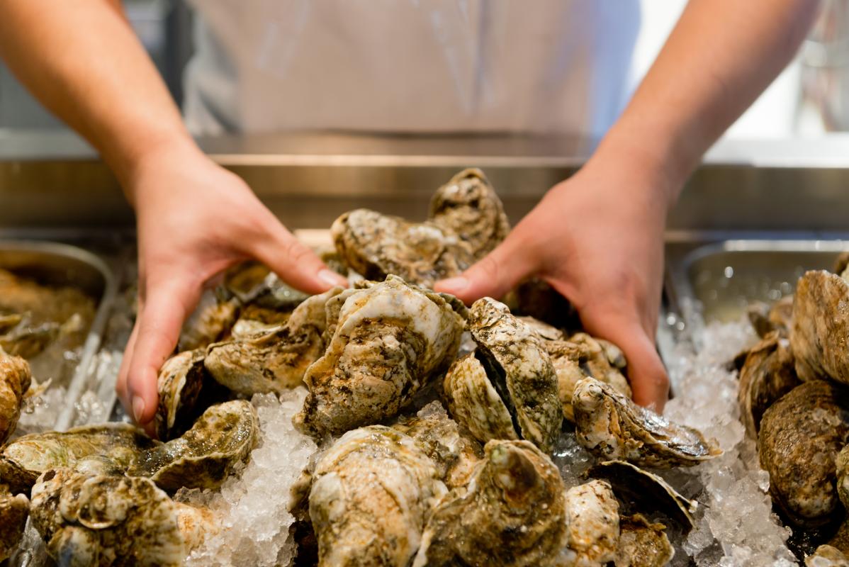 Maryland seafood