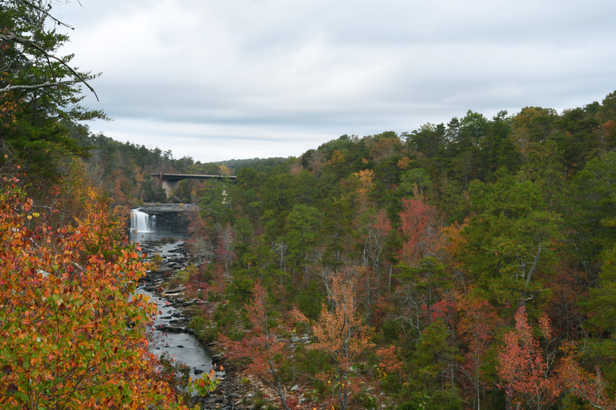 Picture of Little River Canyon gorge with the waterfall in the background and fall color surrounding