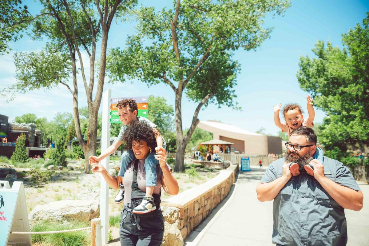 A woman and man walk next to each other, each with a young boy on their shoulders at the ABQ BioPark Zoo