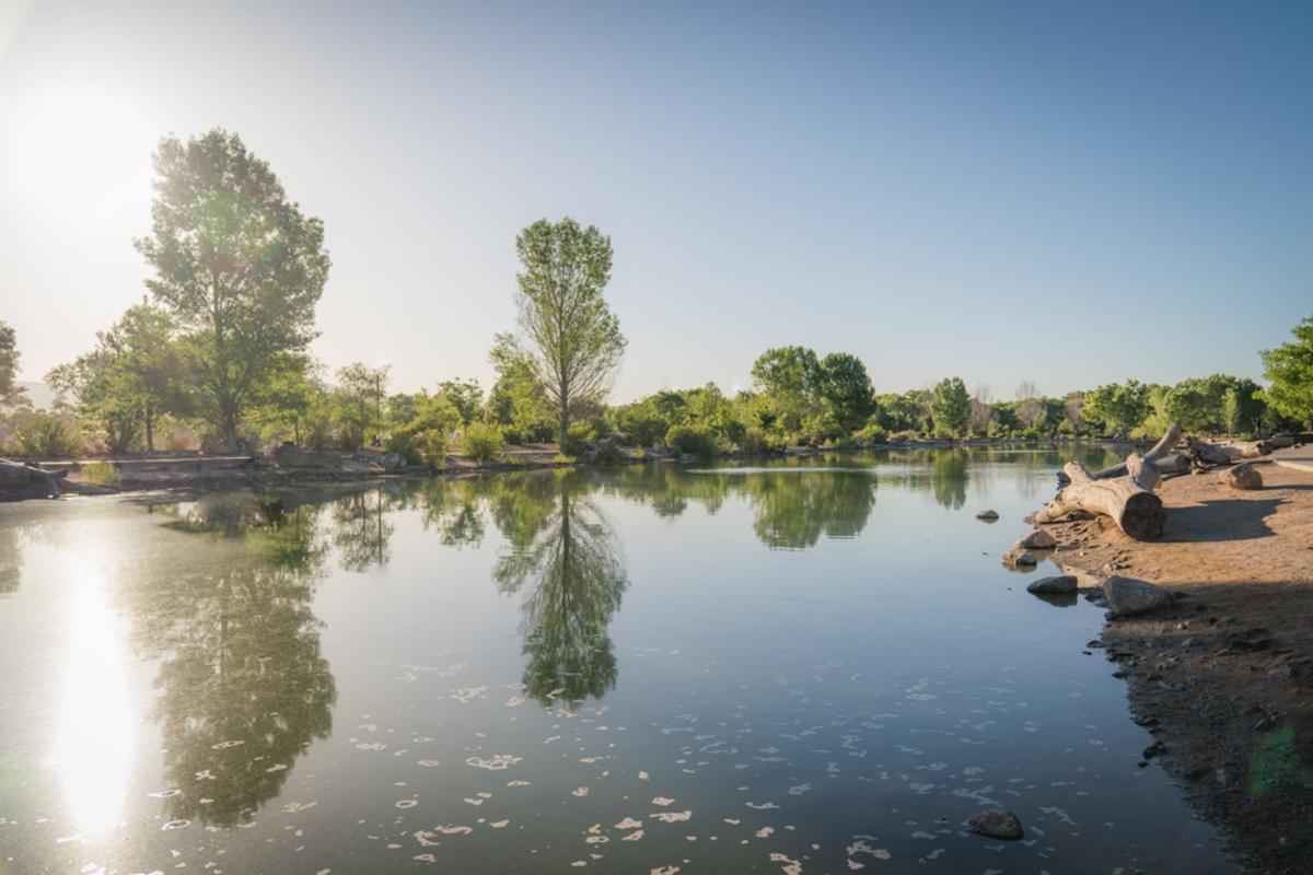 An image of a pond at Tingley Beach.
