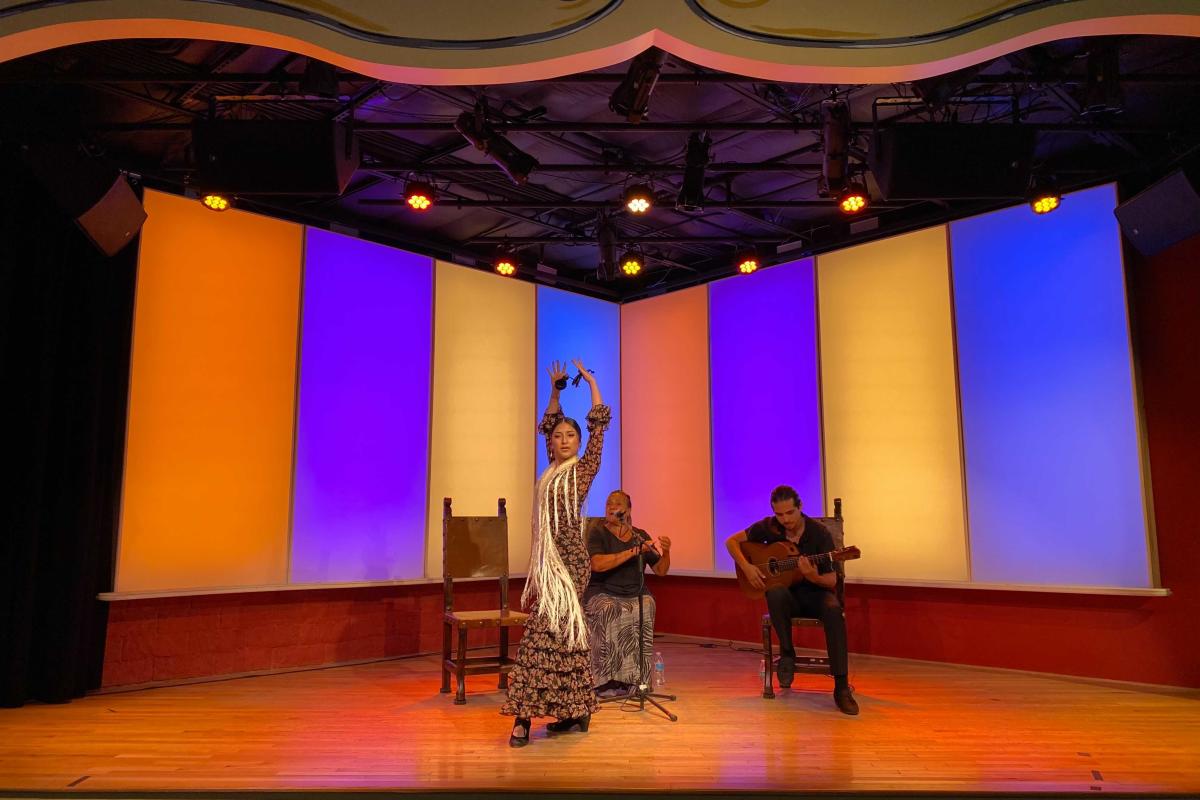 NIF Flamenco Media Mission