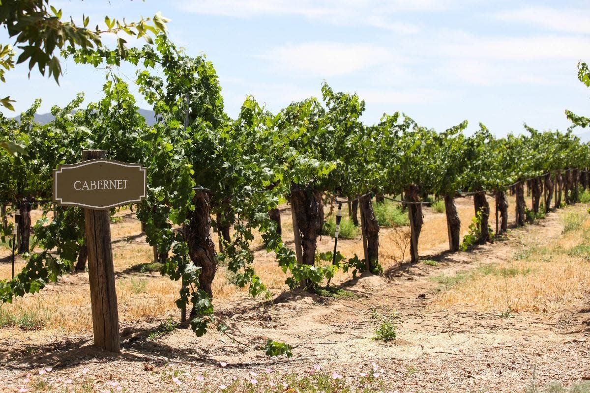 Temecula