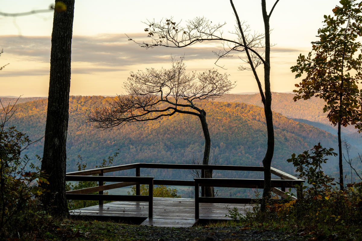 A misty morning sunrise shows fog in the valley with the colors of fall being revealed at the tops of the mountain with the sunrise. A decking platform overlook with a tall tree is center.