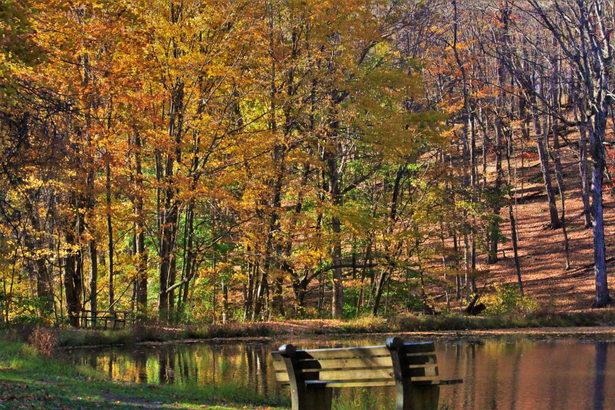 Dans Mountain State Park - Pond -