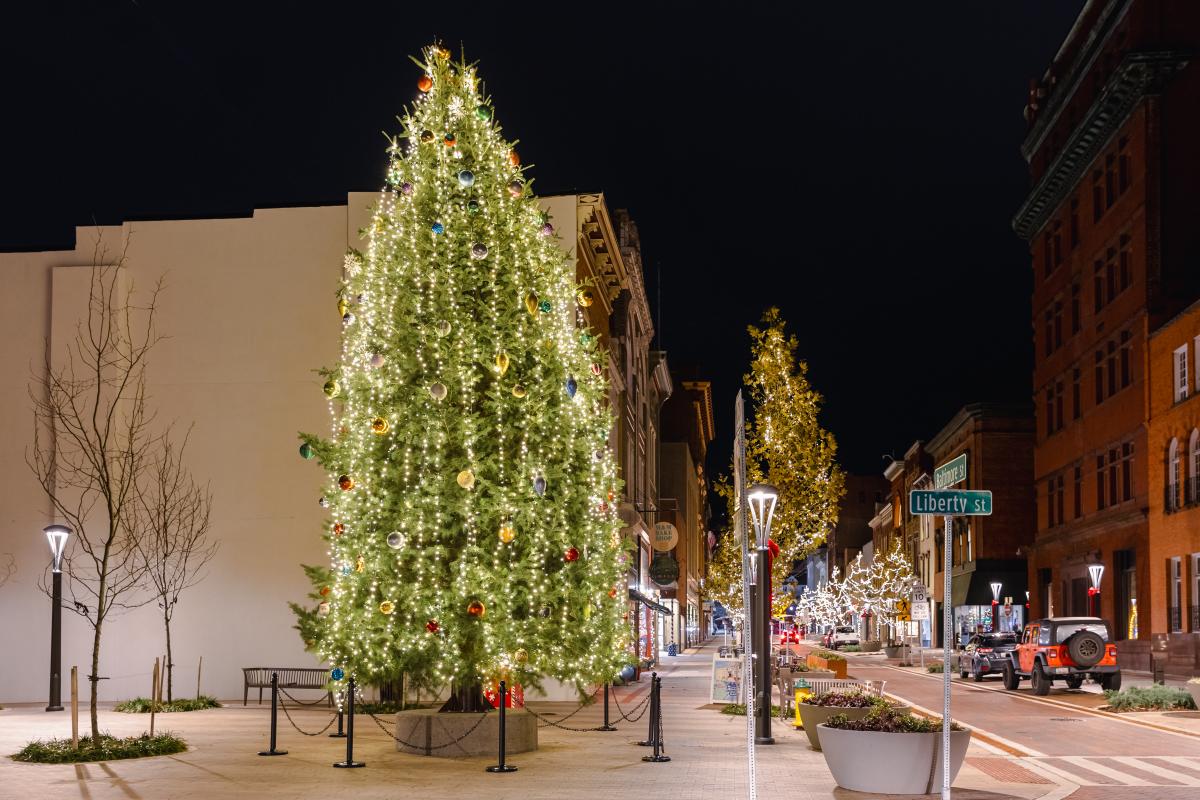 Cumberland Christmas Tree 2024 2