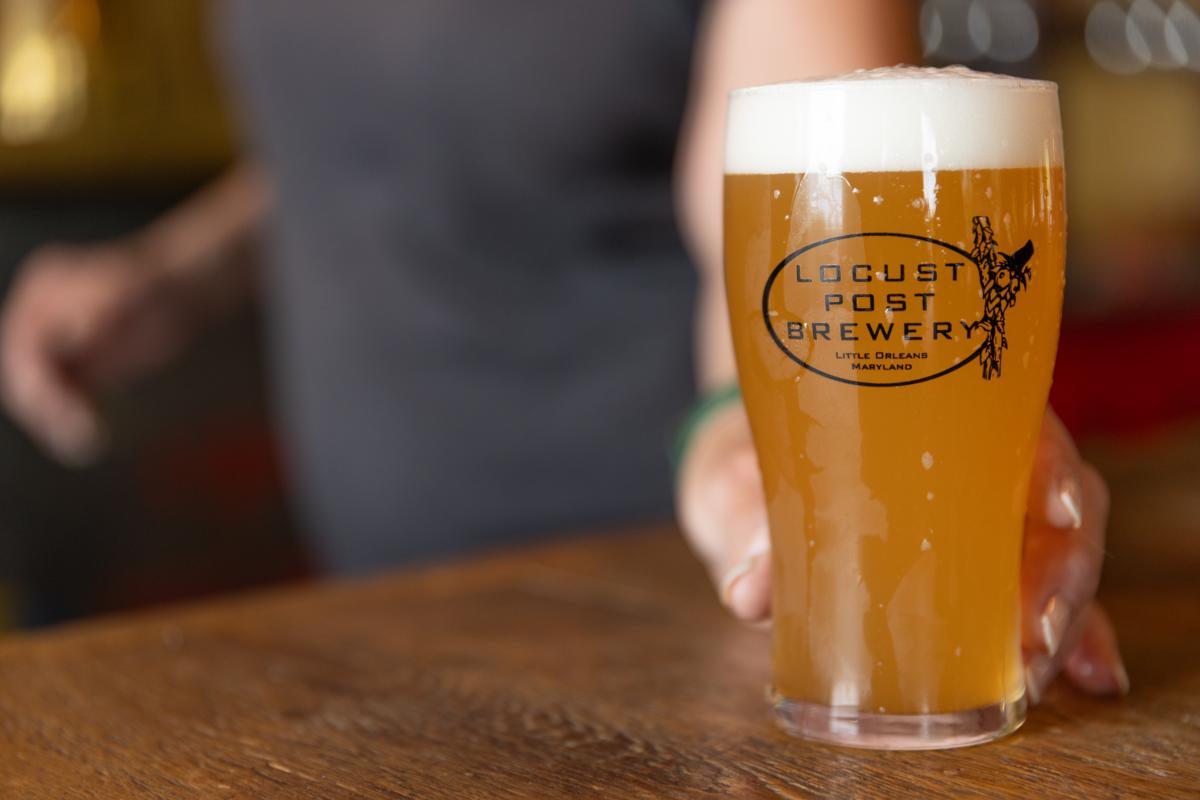 A woman's hand passes a full glass of beer from Locust Post Brewery.