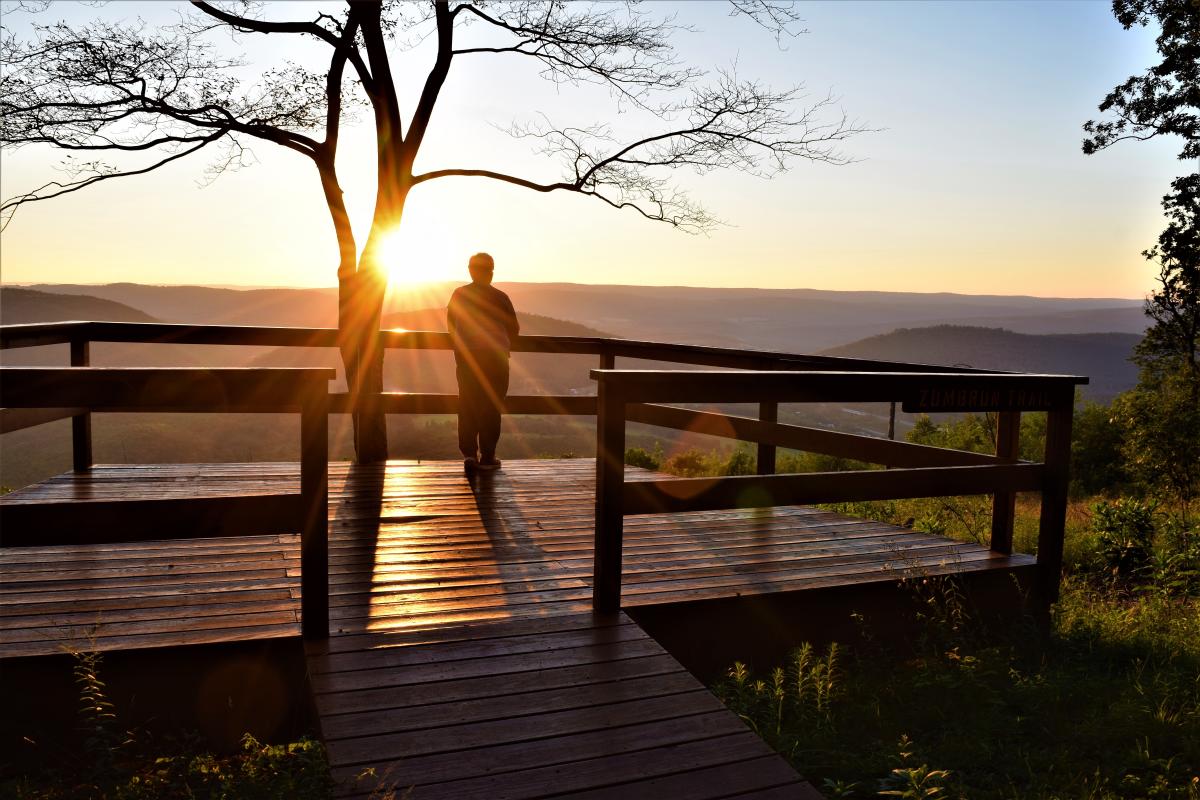 Zumbrun Overlook - Nathaniel Peck - Green Ridge State Forest