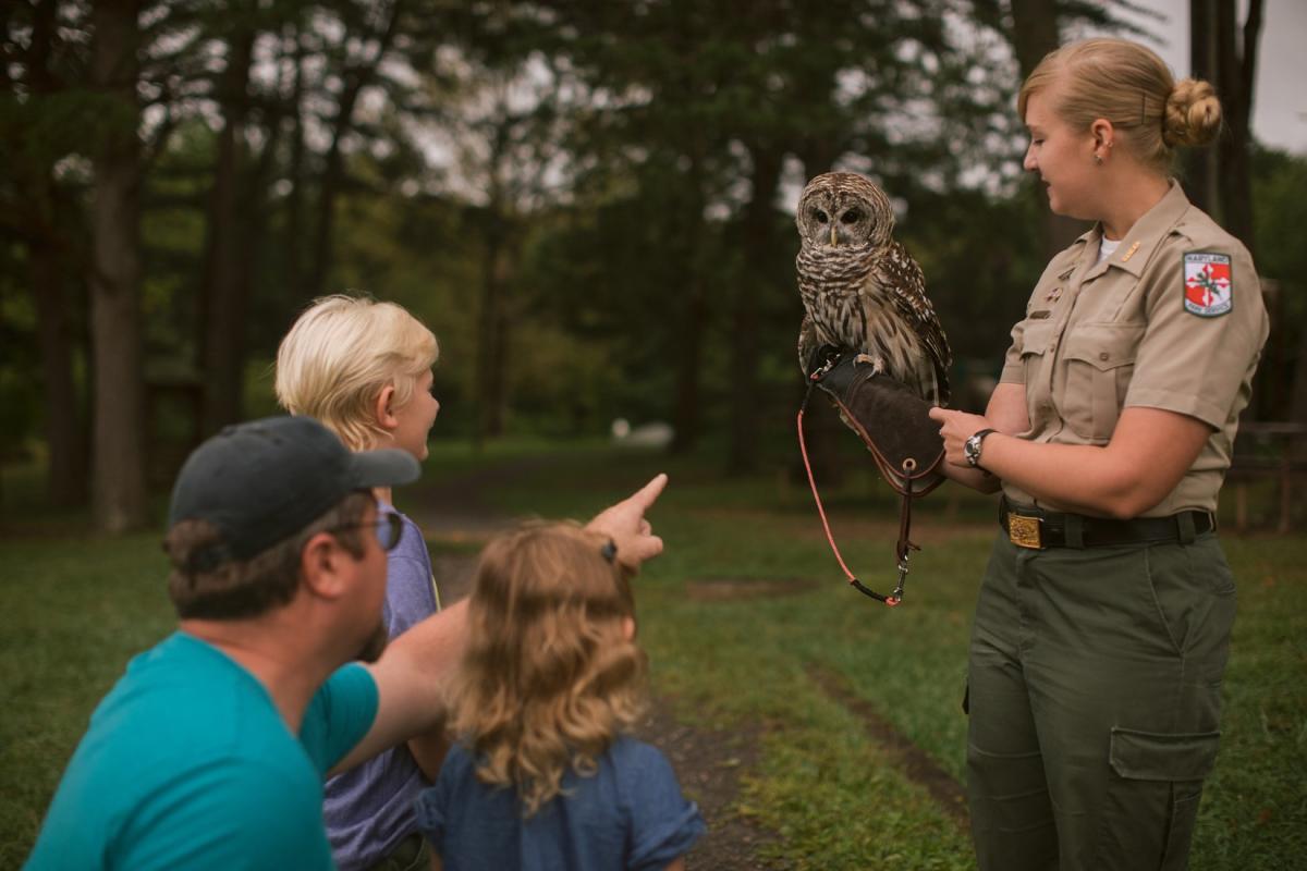 Rocky-Gap-State-Park-Aviary Owl