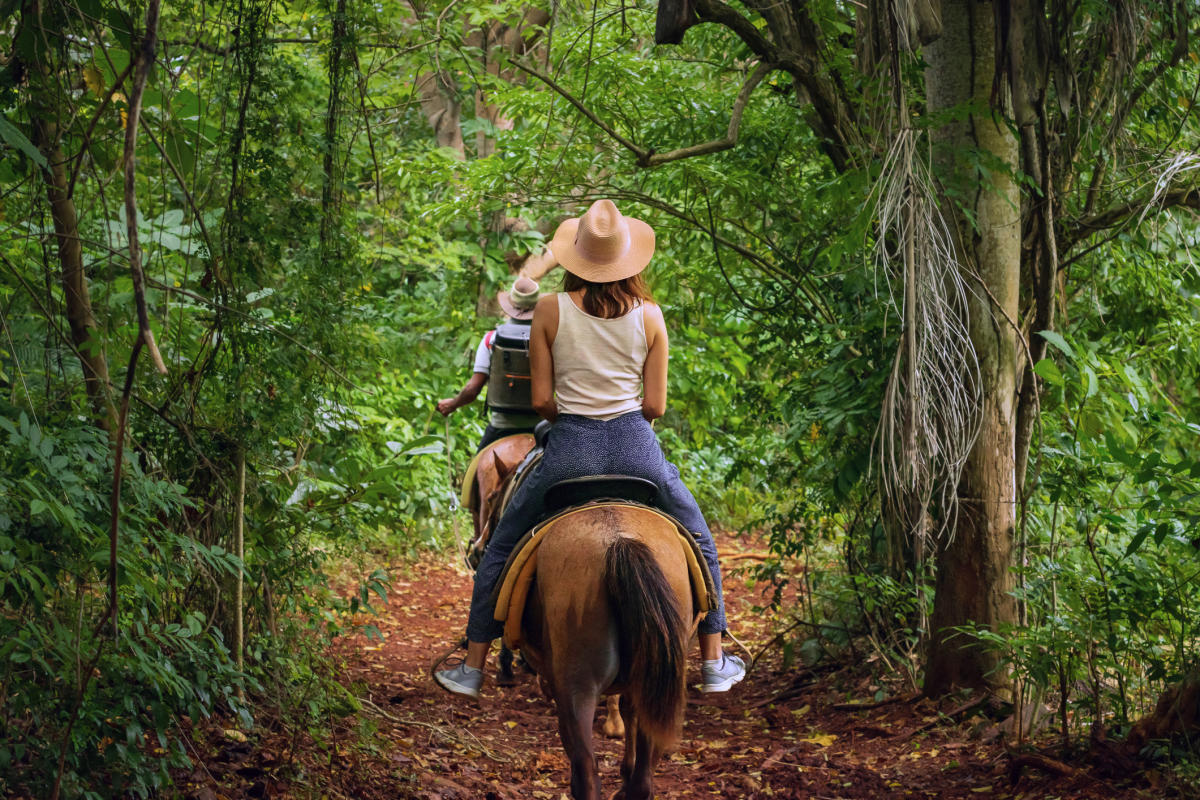 Equestrian - Stock Photo