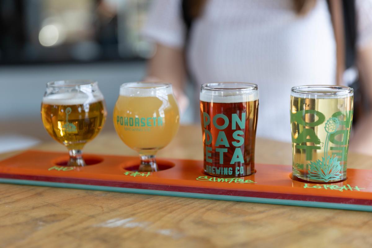 Pondaseta Brewing Co.