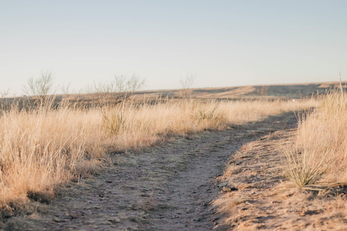 Photo of Wildcat Bluff Nature Center Trail