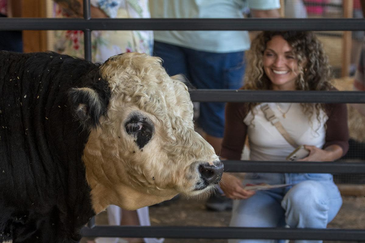 Centennial Farm at OC Fair in Costa Mesa, CA
