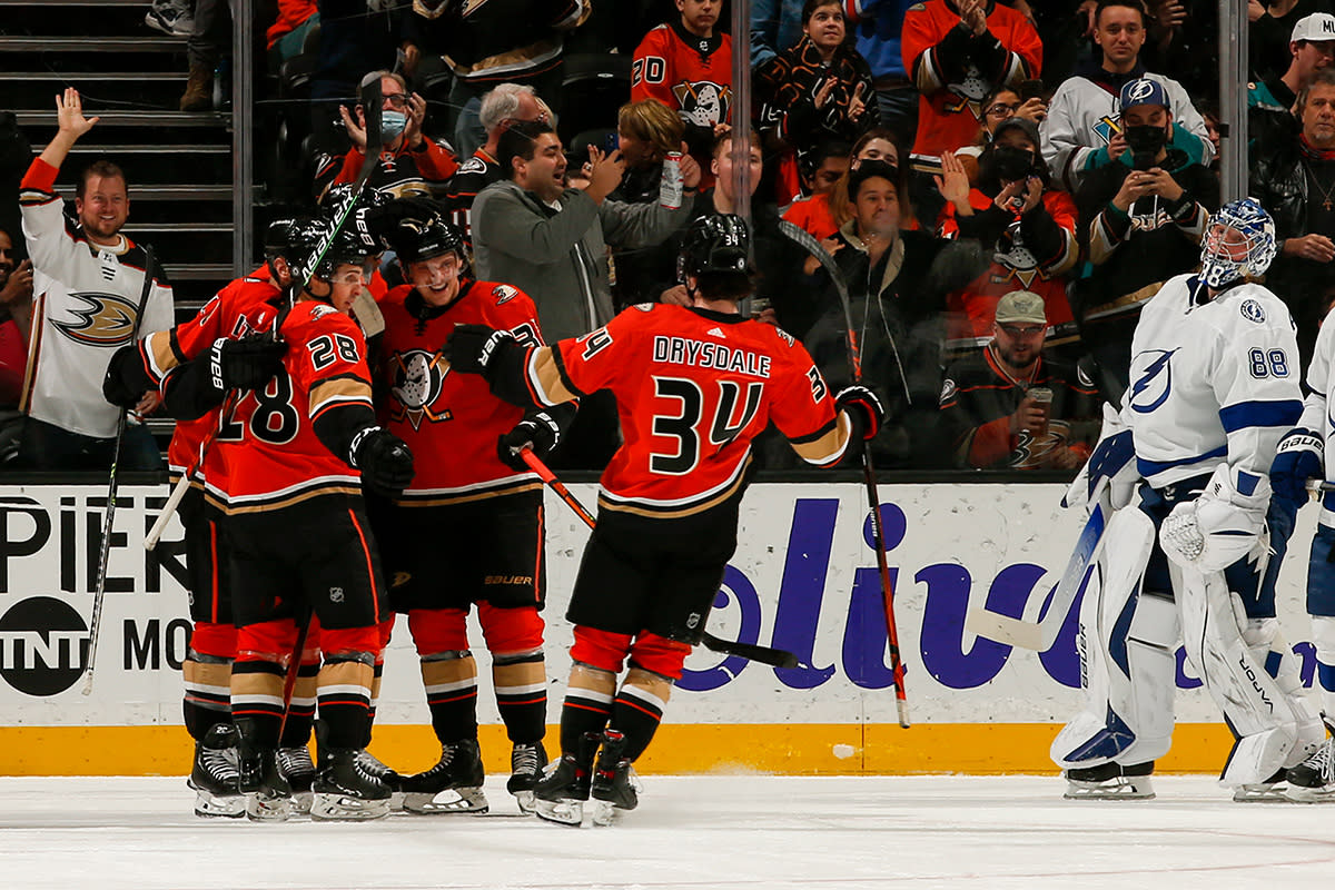 Anaheim Ducks Hockey Game